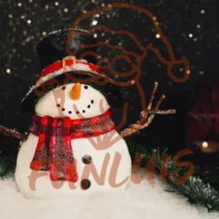 Decorative snowman: inflatable outdoor snowman decoration in Arizona